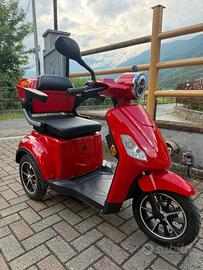 Scooter elettrico per disabili