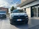 fiat-panda-van-1-2-benz-2019