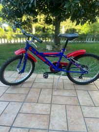 Bicicletta