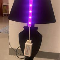 Lampada LED luci colorate da tavolo Āhua Mini Clas