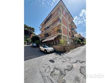 Grottaferrata appartamento luminoso con cantina