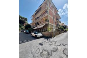 Grottaferrata appartamento luminoso con cantina