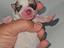 Immagine 1