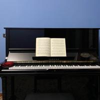 Yamaha U3 H