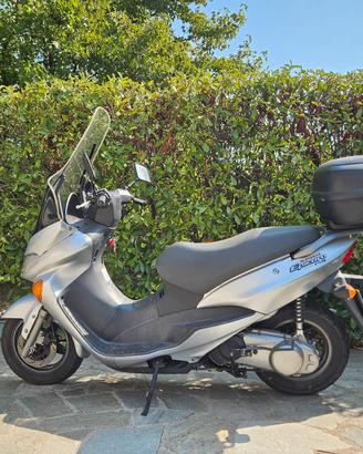 Suzuki Epicuro 150