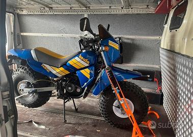 Fantic koala originale