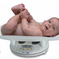 pesabimbi laica body form