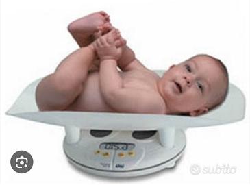 pesabimbi laica body form