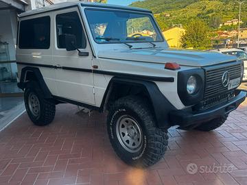 Mercedes 300gd con varie omologazioni