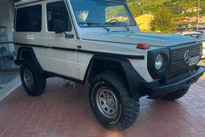 Mercedes g 300  con varie omologazioni