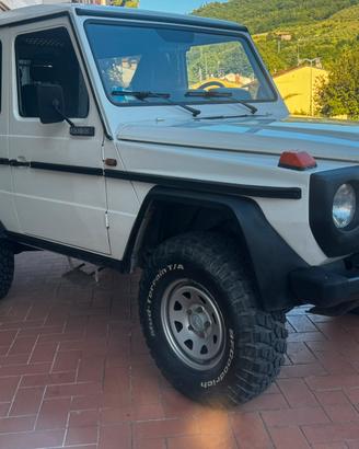 Mercedes 300gd con varie omologazioni