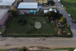 TER. AGRICOLO A SABAUDIA