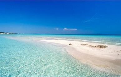 Le belle spiagge di Pescoluse monolocale