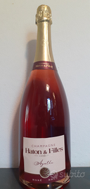 Champagne magnum varie non trattabili