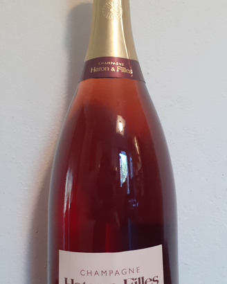 Champagne magnum varie non trattabili