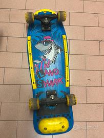 Skateboard arcofalk