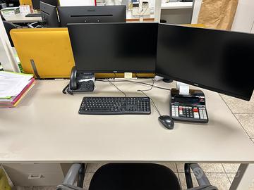 Monitor Philips 24” Full HD 75Hz 9 pezzi