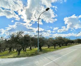 TERRENO EDIFICABILE di 700MQ a LORETO APRUTINO