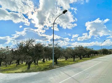 TERRENO EDIFICABILE di 700MQ a LORETO APRUTINO