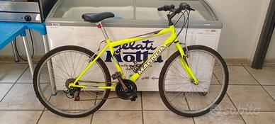 Bicicletta