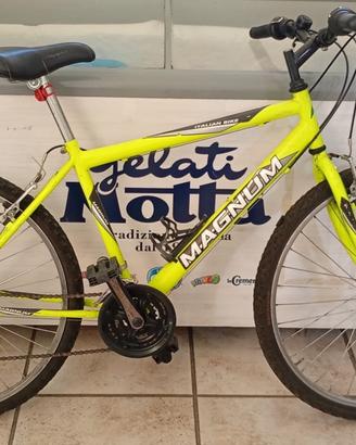Bicicletta