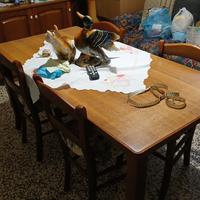 sala più cucina e altro