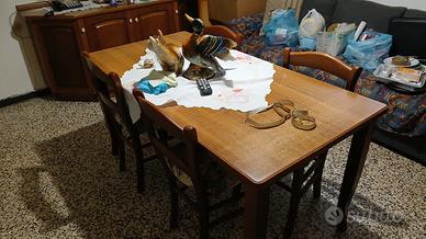 sala più cucina e altro