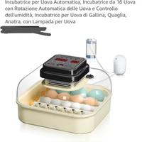 Incubatrice per rettili e non