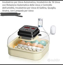 Incubatrice per rettili e non