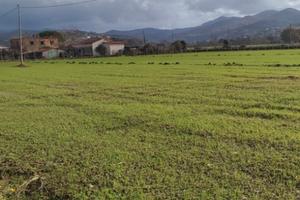 Privato vende terreno agricolo (Capaccio -Paestum)