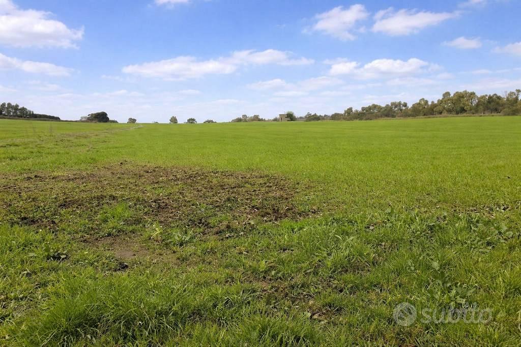 Terreno di 143690 m² a Anguillara Sabazia - Vista 3