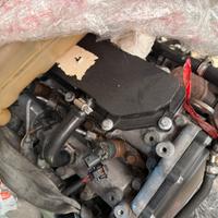 Motore  iveco daily 2.3