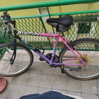 Bicicletta MTB SilverStar (taglia 26 - telaio 19)