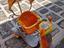 Immagine 1