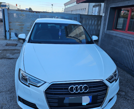 Audi a3 1.6 business 110 cv