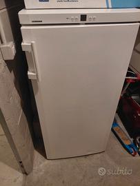 LIEBHERR - Congelatore verticale GNP 1913-22 Class