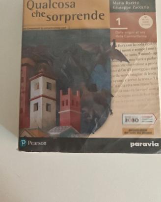 Libro testo Qualcosa che sorprende 9788839538314