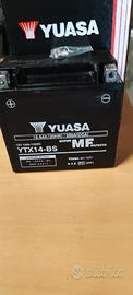 Batteria yuasa YTX14-BS 