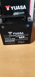 Batteria yuasa YTX14-BS 