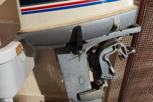 Motore x barca Evinrude 25 cv