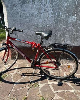 Bicicletta da citta /Trekking “Gemma”  Perfetta