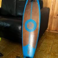 Longboard Z-flex