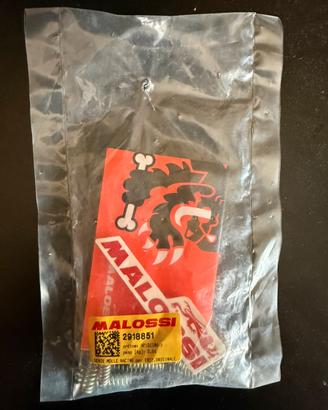 Molle Malossi per frizione beverly 400 hpe 2024