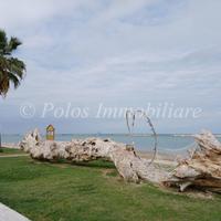 Laboratorio artigianale - Porto Sant'Elpidio