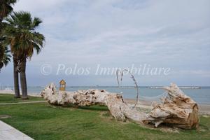 Laboratorio artigianale - Porto Sant'Elpidio