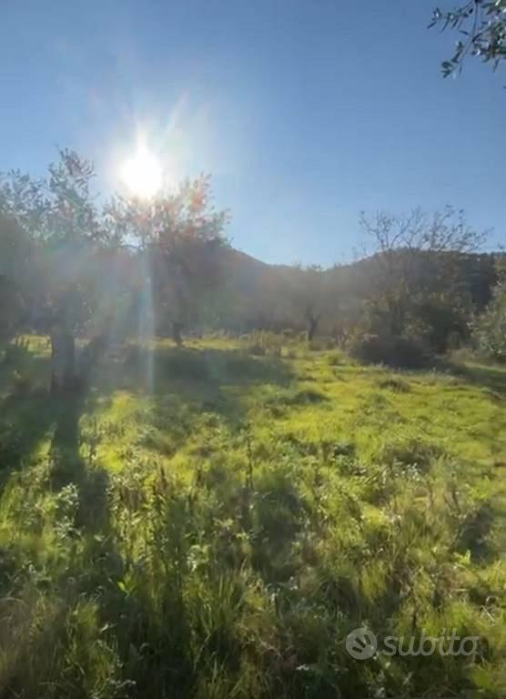 Terreno di 5600 m² a Montemurlo - Vista 2