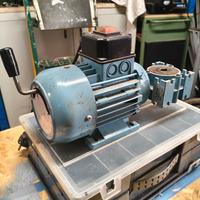 motore smielatore
