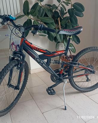 Bicicletta bambino