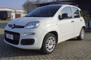 FIAT Panda 1.2 Easy adatta a Neopatentati