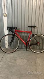 Cezénne corsa in carbonio